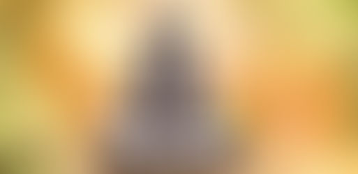 LOS SIDDHIS O "PODERES".