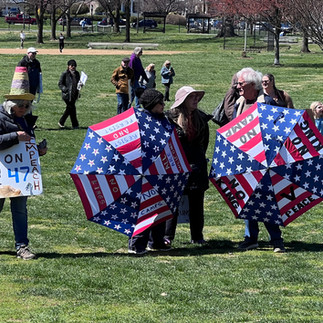 Stars and Stripes Umbrella Protest Signs