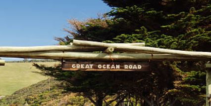 Great Ocean Road Day Trip from Melbourne | Kangaroos, 12 Apostles & Bells Beach