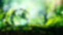planeta-verde.jpg