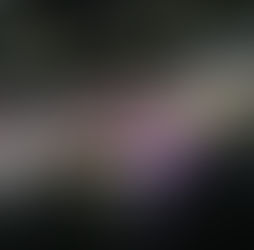 Este fin de semana, los eventos masivos en Culiacán y Navolato, concluyen con resultados positivos; se registró una movilización de casi 100 mil personas