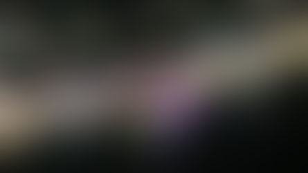 Este fin de semana, los eventos masivos en Culiacán y Navolato, concluyen con resultados positivos; se registró una movilización de casi 100 mil personas