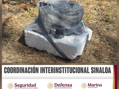 En Concordia, el Grupo Interinstitucional localizó y aseguró 11 artefactos explosivos