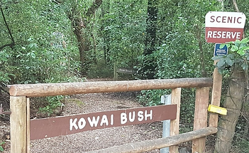 Kowai Bush .png