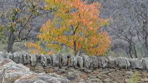 13243771_1275106662517758_34048053072232