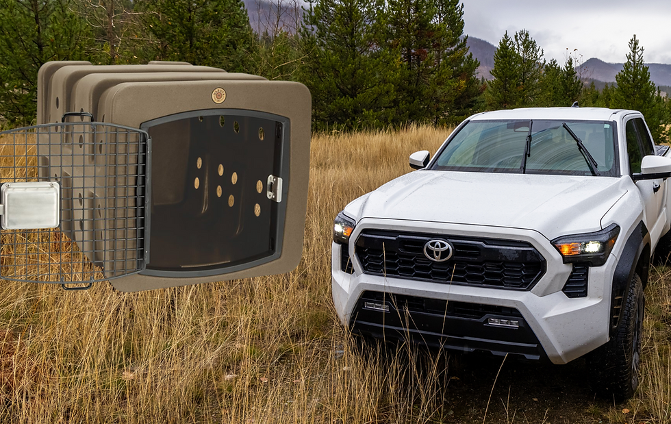 Why Truck Owners Love This Dakota 283 T1 Low Profile Kennel