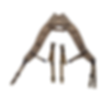 Black Mesa Gear Modular Harness & Strap Conversion Kit