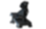 Black Mesa Gun Dog SupplyCato Plank XL Platform
