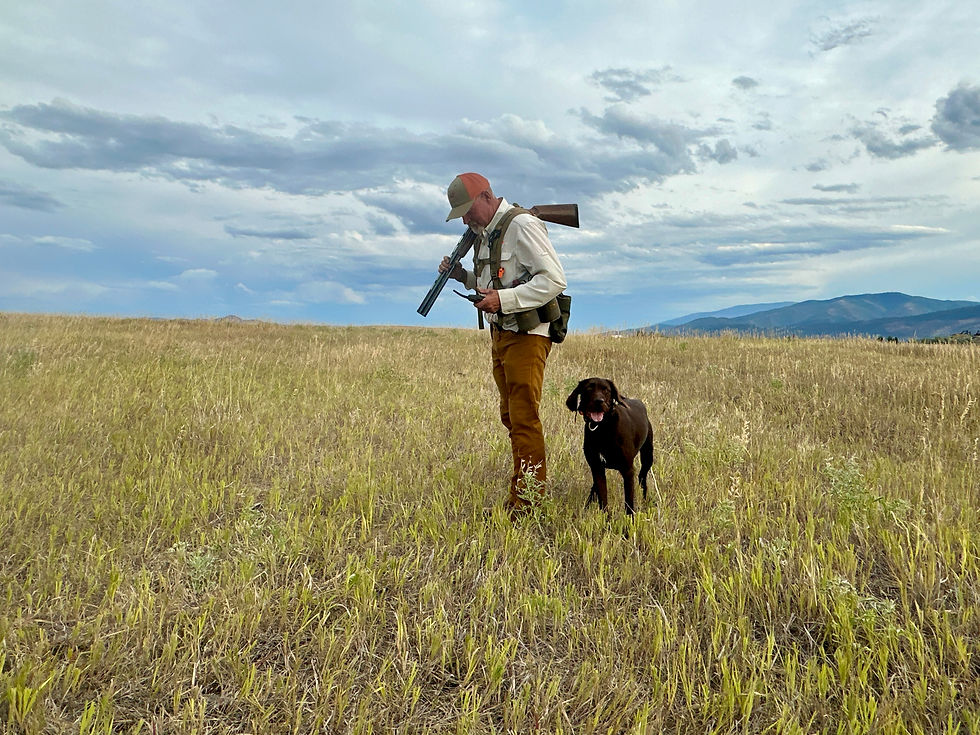 Black Mesa Gun Dog Supply