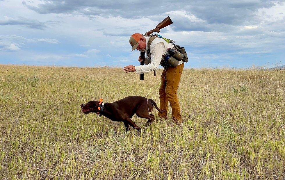 The Ultimate Guide to Selecting the Best Garmin Electronic Collar for Training Hunting Dogs