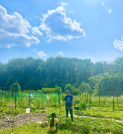 The Yorktown Garden of Hope