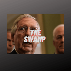 The Swamp