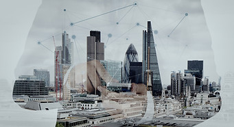 디지털 네트워크 오버레이