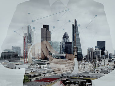 Digital Network Overlay