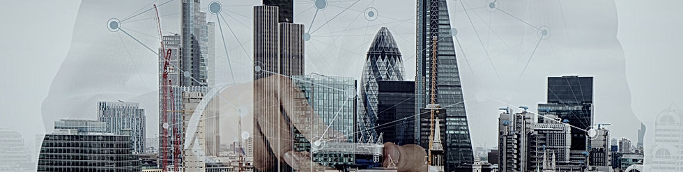 business specialists, consultants