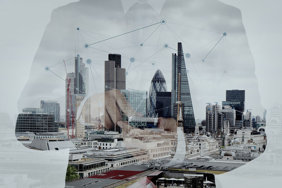 Global IP and brand holding group building and owning portfolios across pharmaceutical dossiers, design, and branding for long-term value creation.
