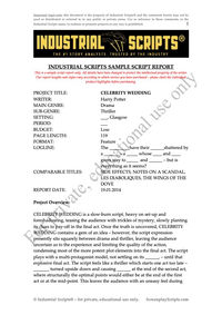 Industrial Scripts Sample Report.jpg