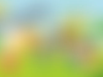 Prázdninový provoz MŠ