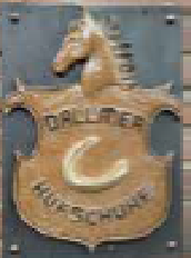 Bild eines Hufschuh. 