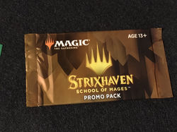 IMG_20241124_125453765