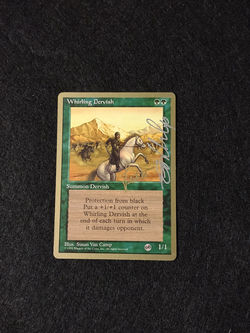 IMG_20241123_150255545_edited