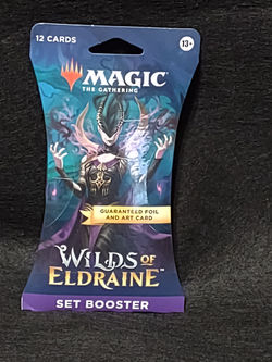 IMG_20231022_095943806