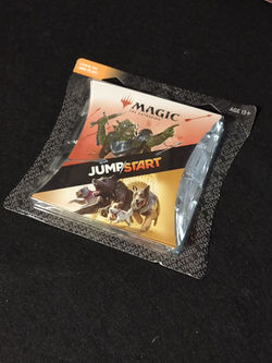 IMG_20241124_123945605