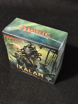 IMG_20241124_151254548