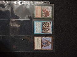 IMG_20241123_145453438_HDR