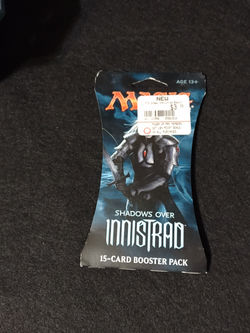 IMG_20241124_124652864