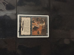 IMG_20241123_144905166