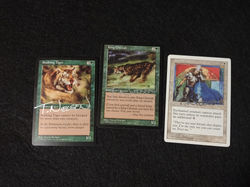 IMG_20241123_144358509