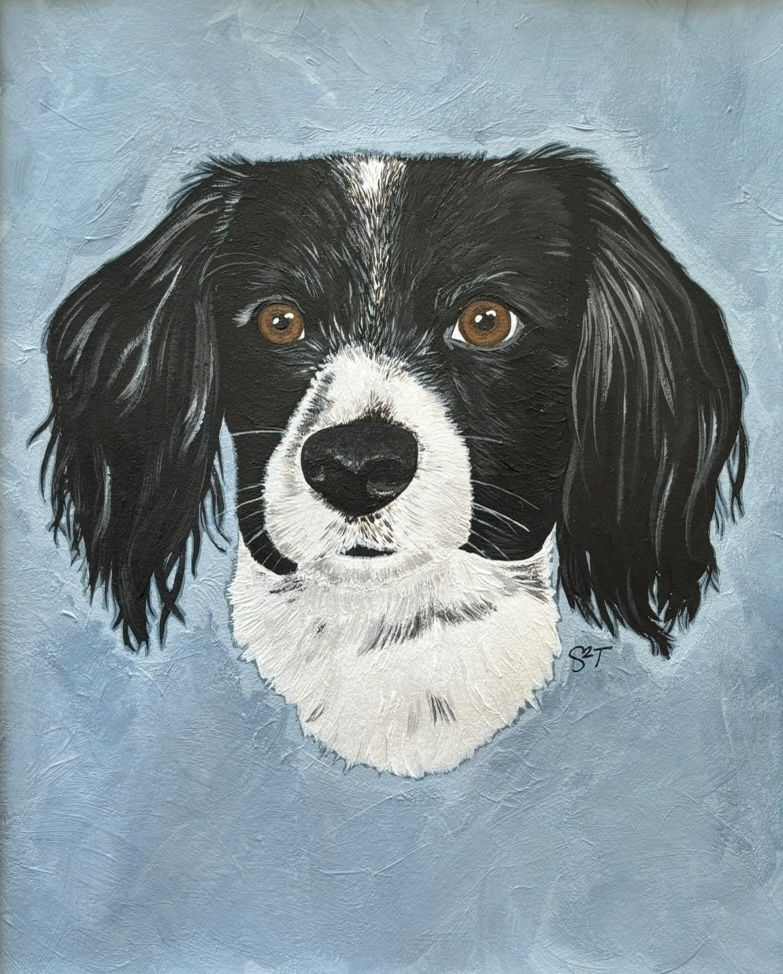 Pet Portrait