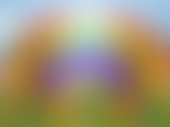 Overcoming the Dualistic Vision of the Spiritual Path