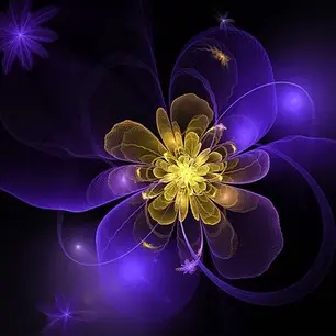 Going Beyond Worded Wisdom