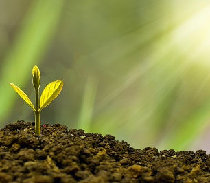 Following the spiritual path means transcending the desires of the ego