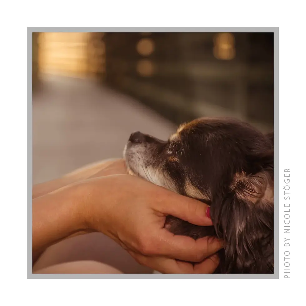 Miniaturbild: LIEBE IST… Karten-Set (made in Austria)