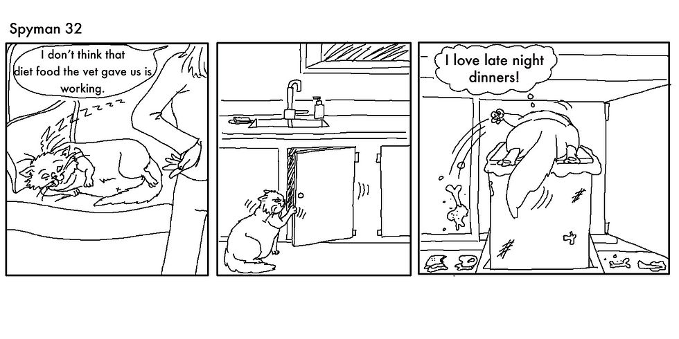Spyman_32 (1)