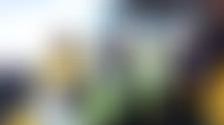 Will Mongolia Privatize Its Leading State Enterprises?