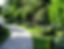 Styled Garden