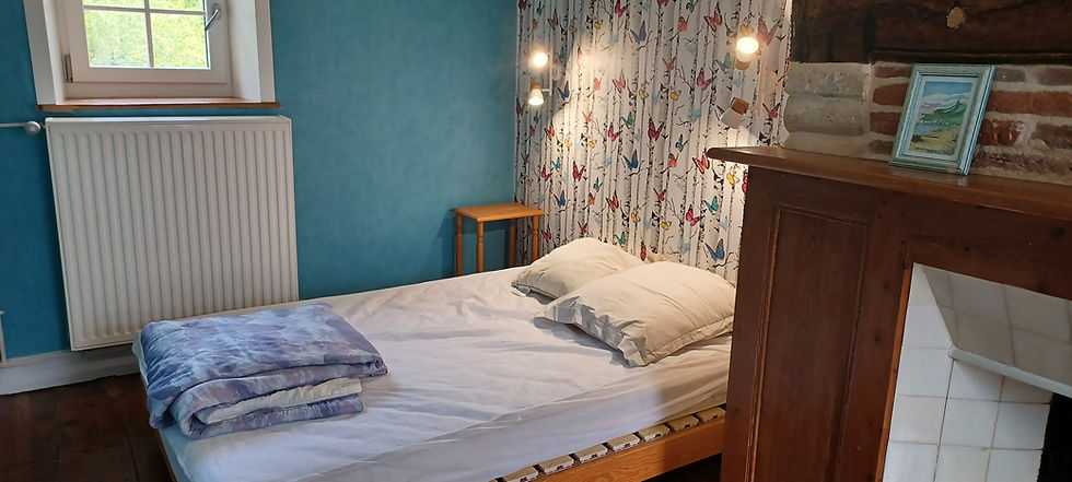 la chambre aux papillons
