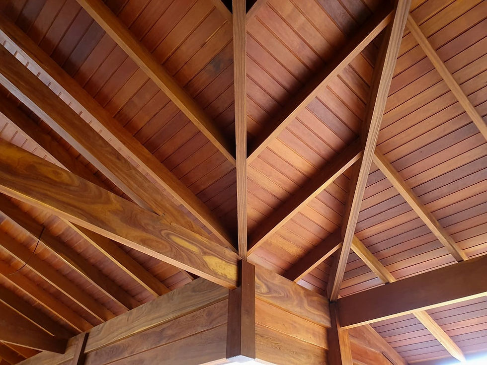 WhatsApp Image 2022-06-10 at 08.13_edited