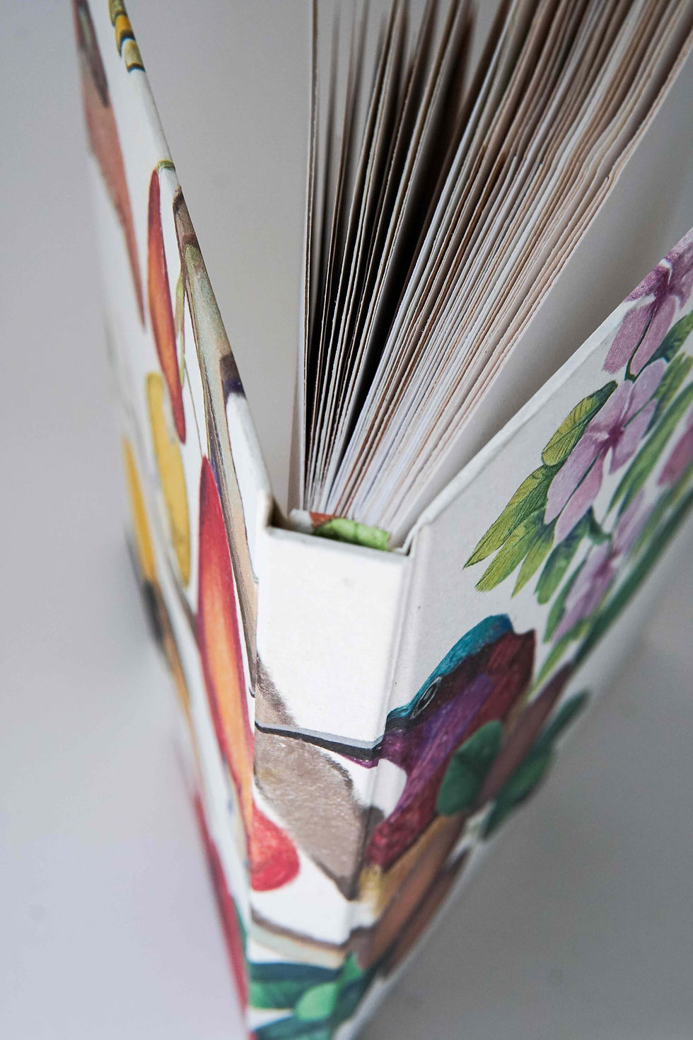 Thumbnail: 'Birds of Goa' | SCRAPBook - A5