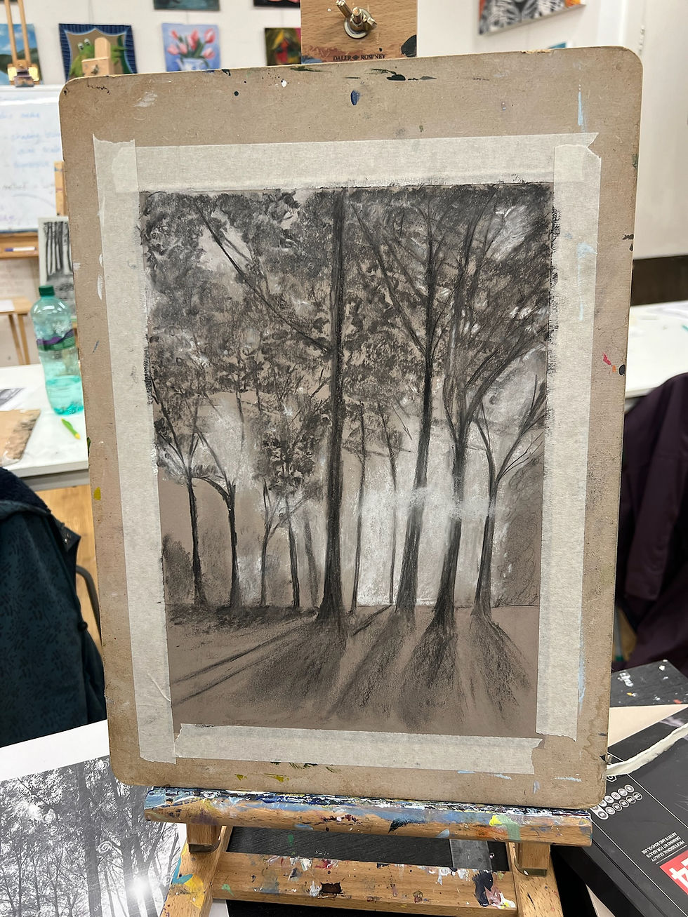 Drawing for beginners: Tuesday mornings 