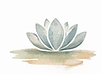 1d9fdf8f-7980-46f6-bbb5-a6c899db3ca6.png