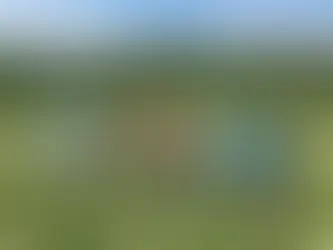 Кто куда, а мы в лес!