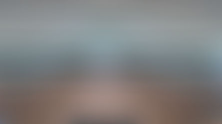 Riunioni delle commissioni e incontri dei gruppi politici, Bruxelles