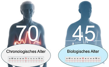 Biologisches Alter