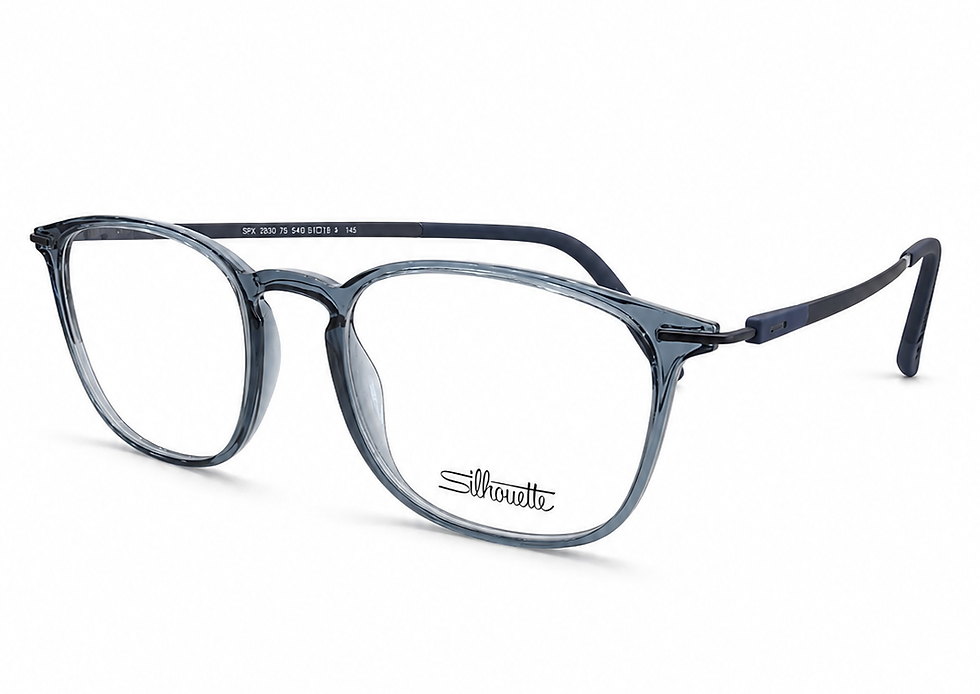 Silhouette SPX 2963 blue-grey round-frame eyeglasses, size 51, at Supreme Optique