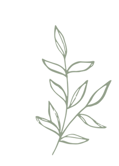 Icon 1(1).png